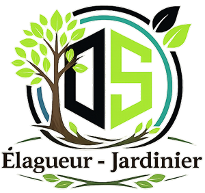 elagage-ds-elaguer-jardinier
